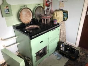 image of green colour cooker service